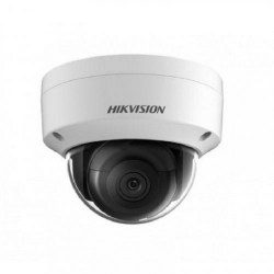 Hikvision DS-2CD2146G1-IS