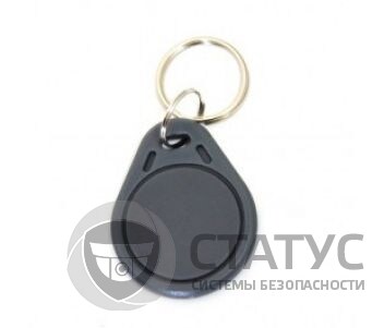 RFID KEYFOB EM RW-GREY RFID брелок