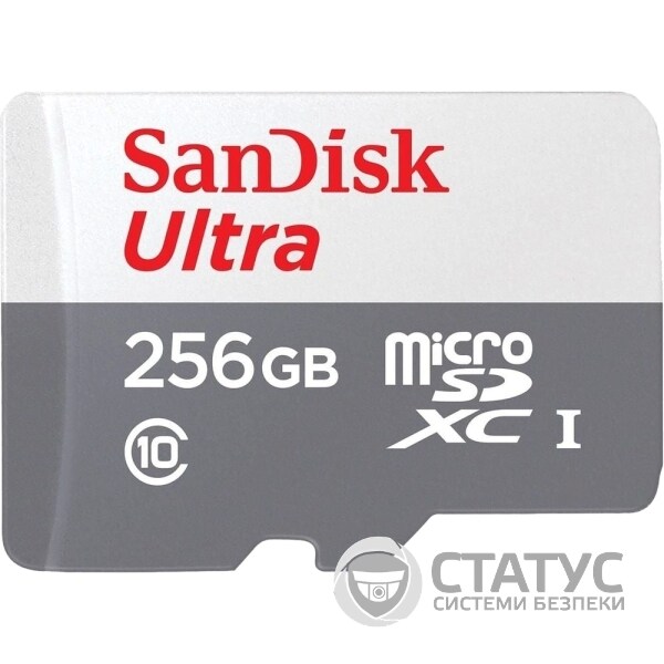 SanDisk Ultra microSDXC 256GB 100MB/s Class 10 UHS-I Модуль флеш-памяті