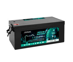 Аккумуляторная батарея EVEREXCEED LiFePO4 24V 100Ah