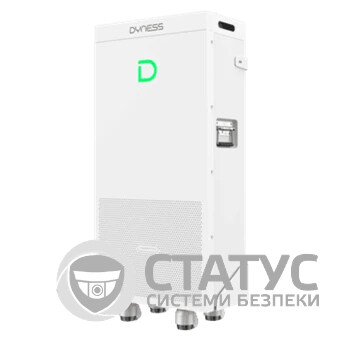 Литиевая аккумуляторная батарея Dyness PowerBrick Plus 16,08кВт•ч 51,2В 314А•ч